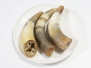 Air-dried Beef Horns